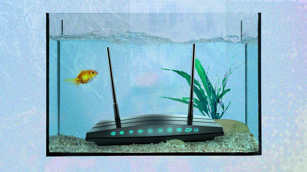 Evde Wi-Fi Sinyalini Bozan İlginç Şeyler