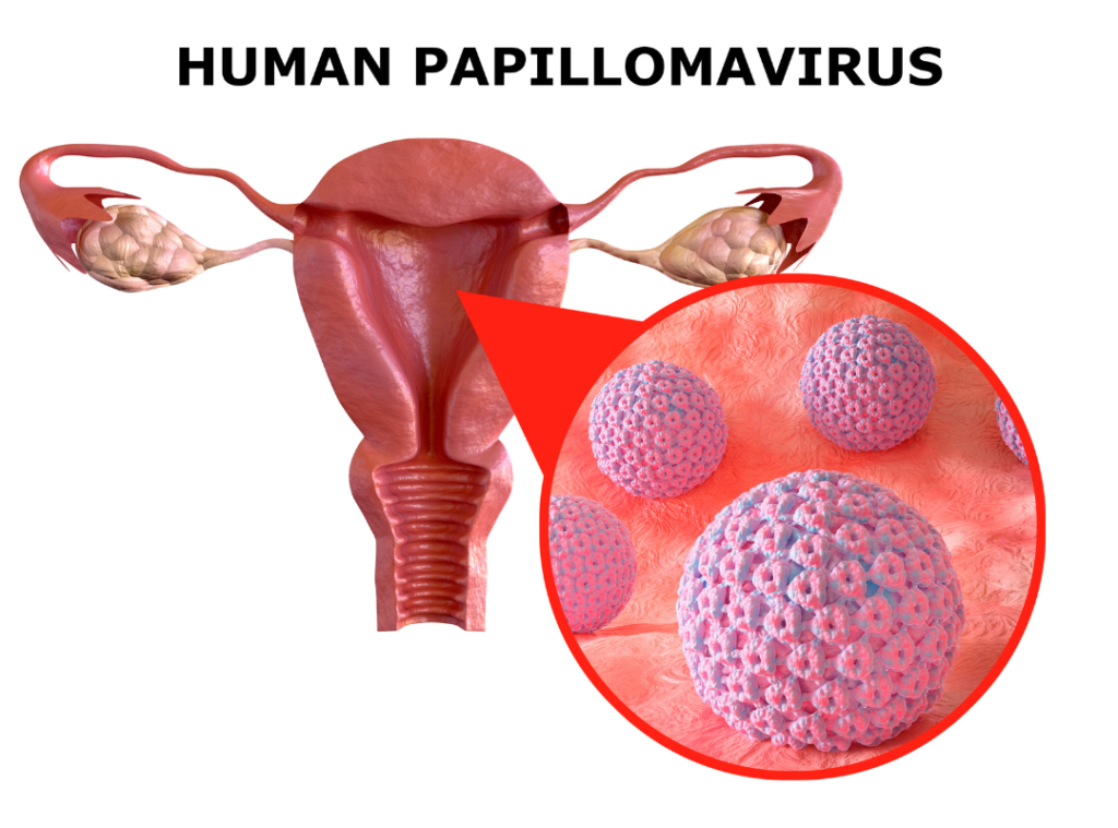 HPV Life Haber Ajansı