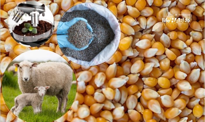 Tarımsal Destek Ödemeleri Yapılmaya Başladı