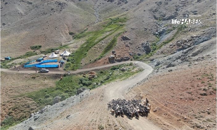 Çobanlık Yaparken Hazırlandığı LGS’de Türkiye 2’ncisi Oldu