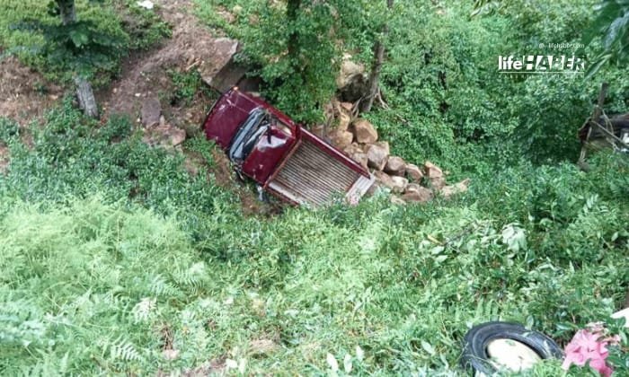 Çay Toplamaya Gidenleri Taşıyan Kamyonet Şarampole Uçtu