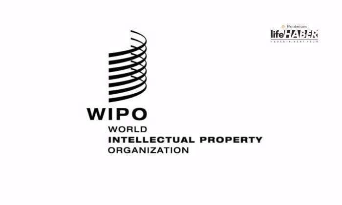 Türkiye Yerli Tasarım Başvurusunda Dünya İkincisi