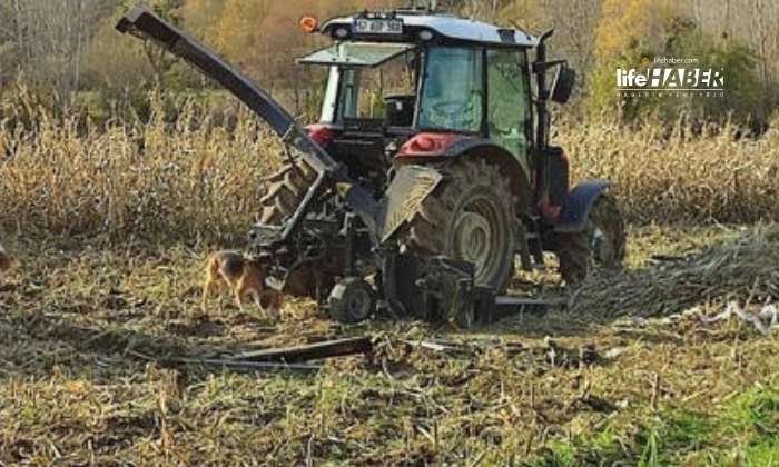 Sinop’ta Çiftçinin Feci Sonu!