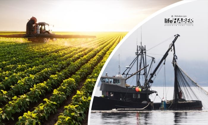 Tarımsal Destekleme Ödemeleri Yapıldı