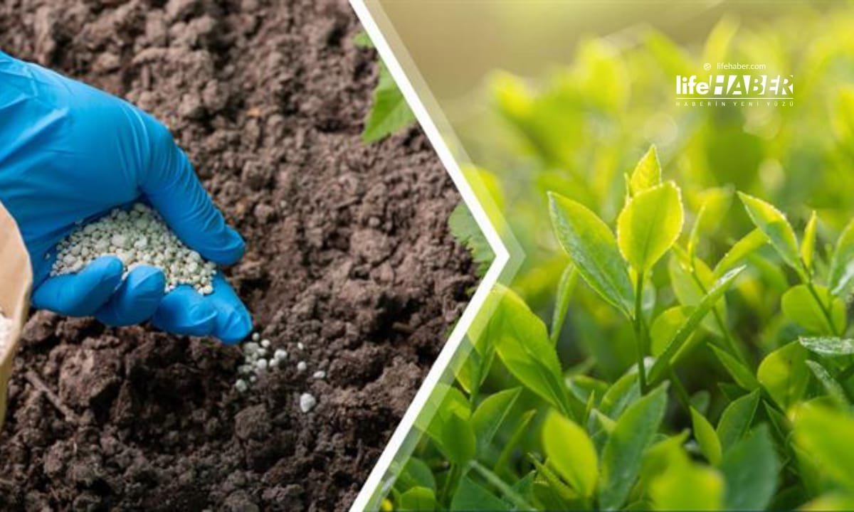 Çiftçiye Büyük Müjde: 2.1 Milyar Liralık Destekleme Ödemesi Hesaplarda!