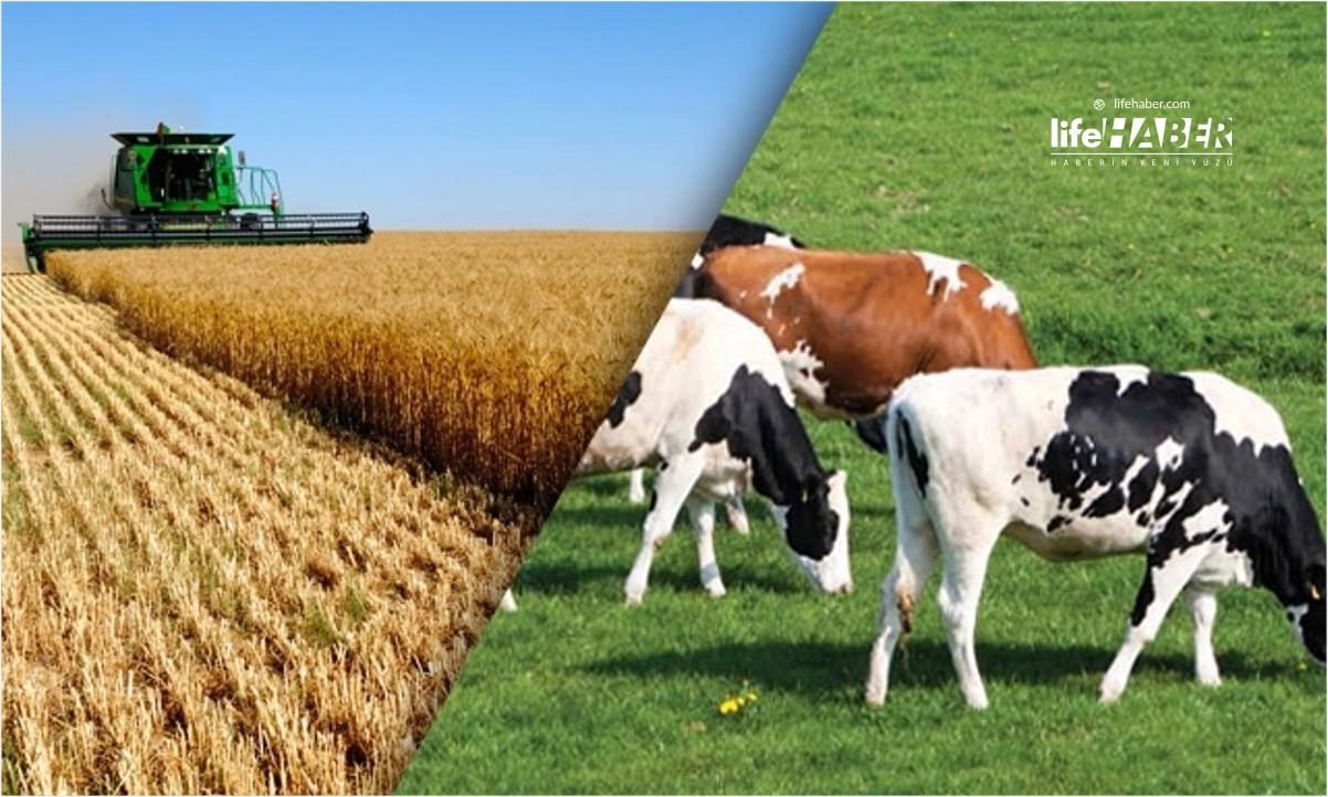Kalkınmak İçin En Büyük Silah Tarım ve Hayvancılıktır