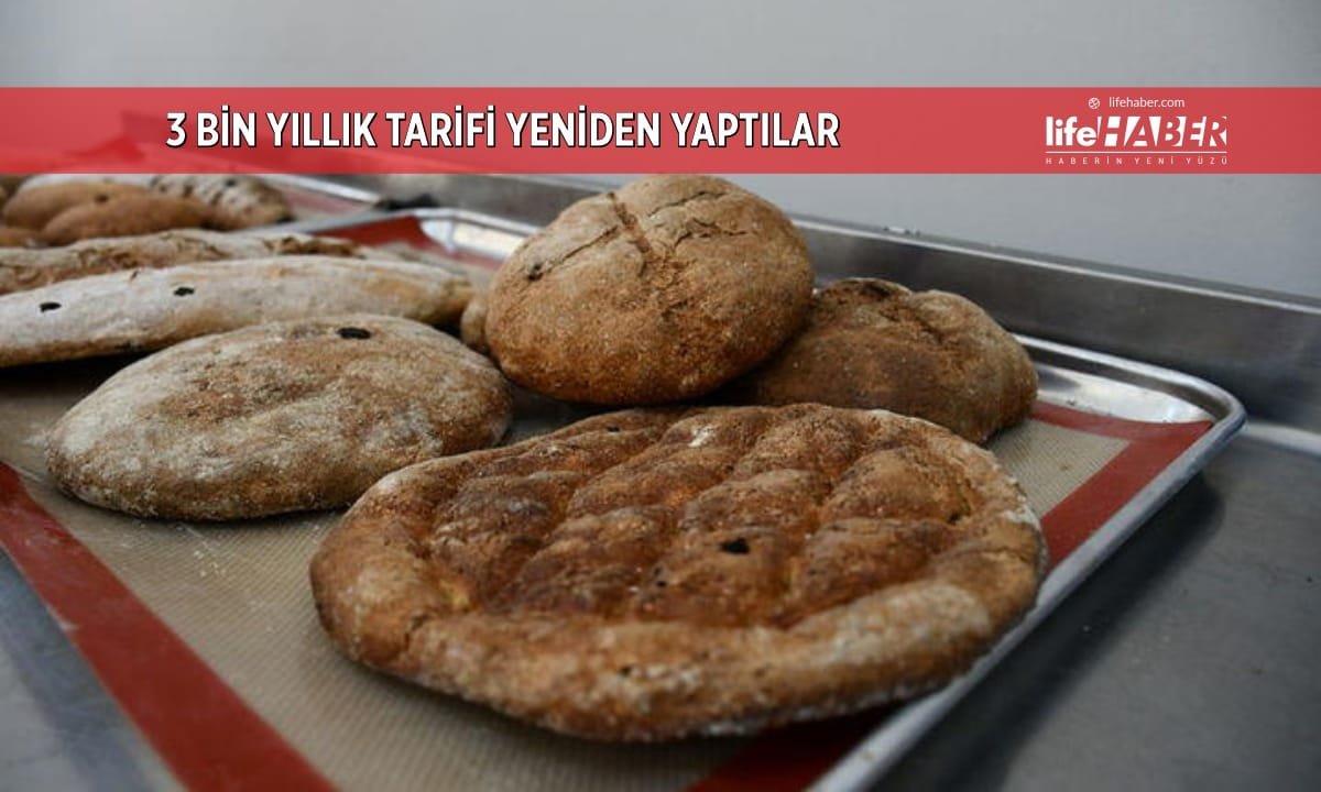 3 Bin Yıllık Lezzet Uykusundan Uyandı: Mezopotamya’nın ‘Ballı Arpa Ekmeği’ Yeniden Sofrada