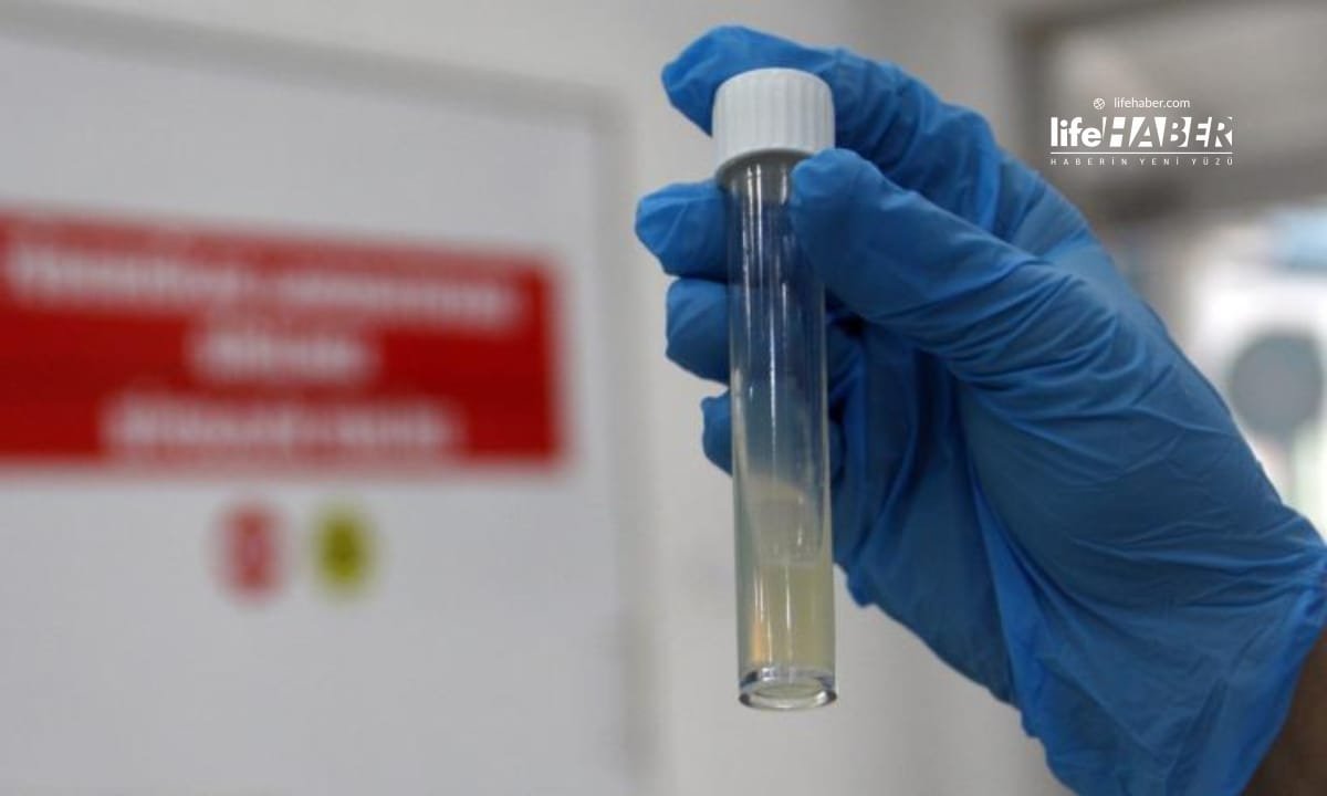 DSÖ Uyardı: Tüberküloz, 1.23 Milyon Can Kaybıyla En Ölümcül Bulaşıcı Hastalık Kalmaya Devam Ediyor