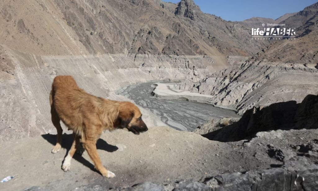İran'da Su Krizi Derinleşiyor: Tahran Kuraklık Nedeniyle Boşalabilir Uyarısı 1 iran2 Life Haber Ajansı