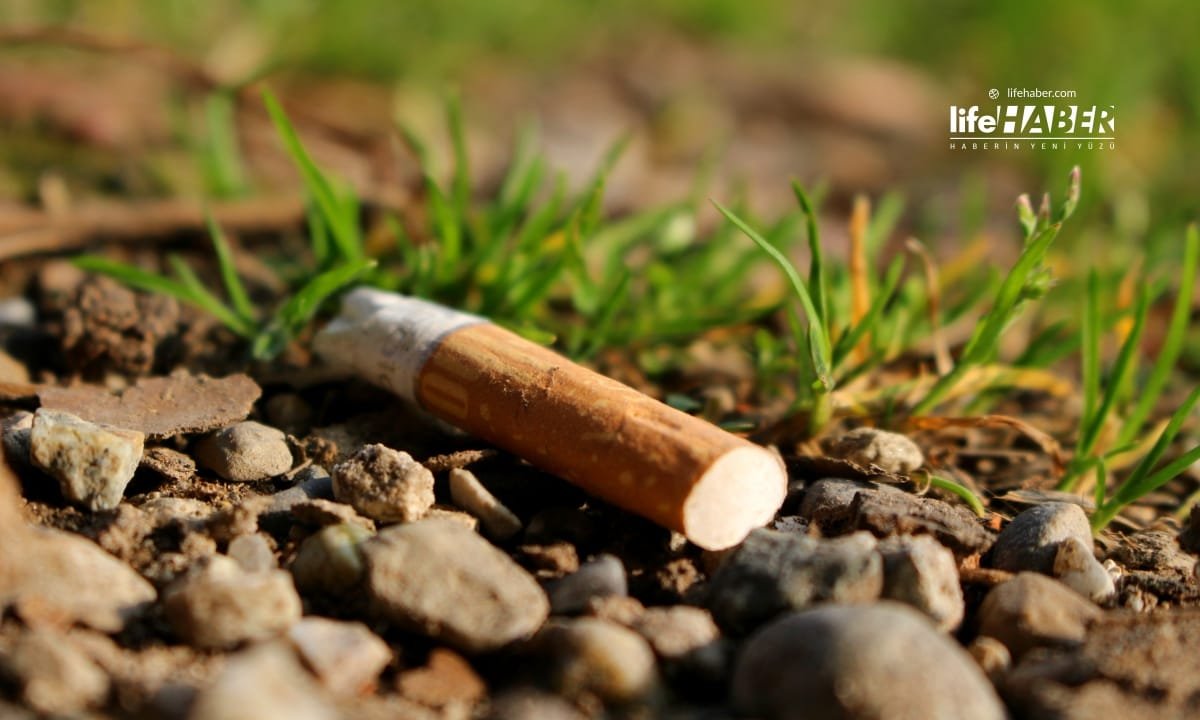 Berlin’de Yere İzmarit Atmanın Cezası 3 Bin Euro