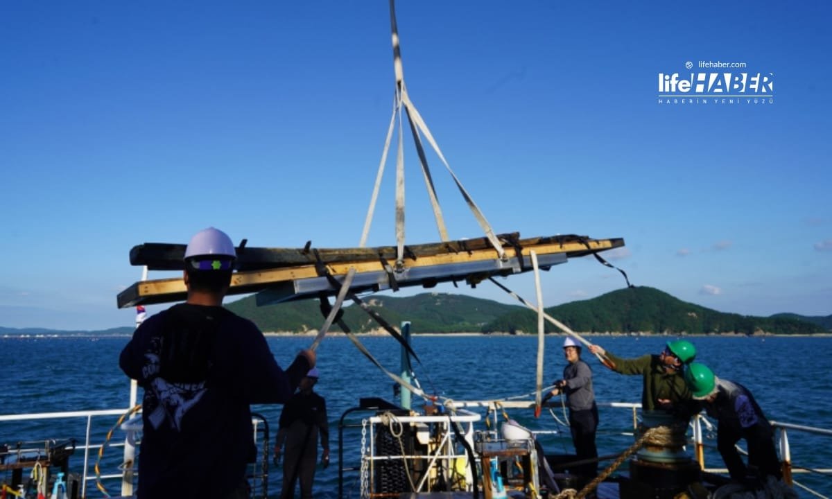 Güney Kore'de 600 Yıllık Tarih Keşfi: Joseon Hanedanlığı'na Ait Vergi Gemisi Gün Yüzüne Çıkarıldı 2 kore3 Life Haber Ajansı