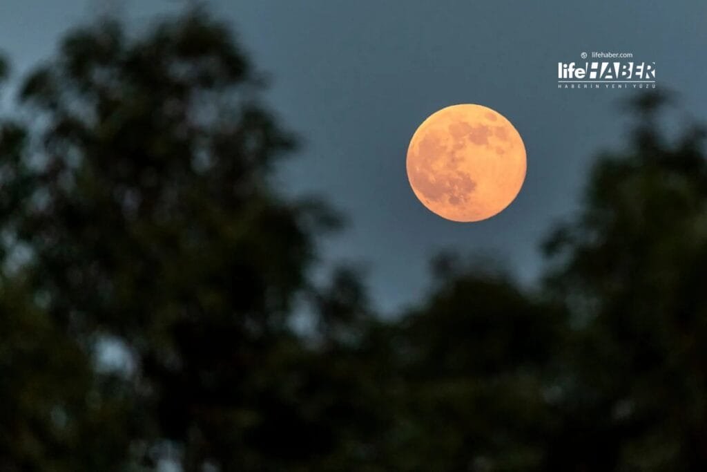 kunduzsuperay23 Life Haber Ajansı