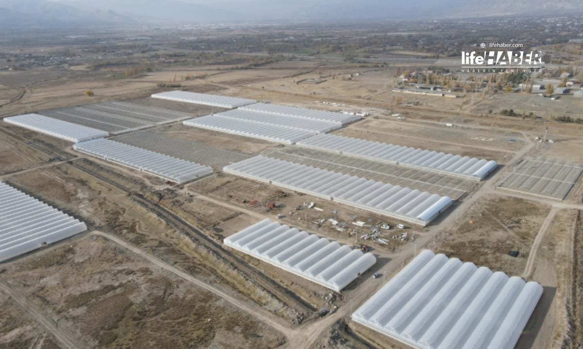 sera3 Life Haber Ajansı