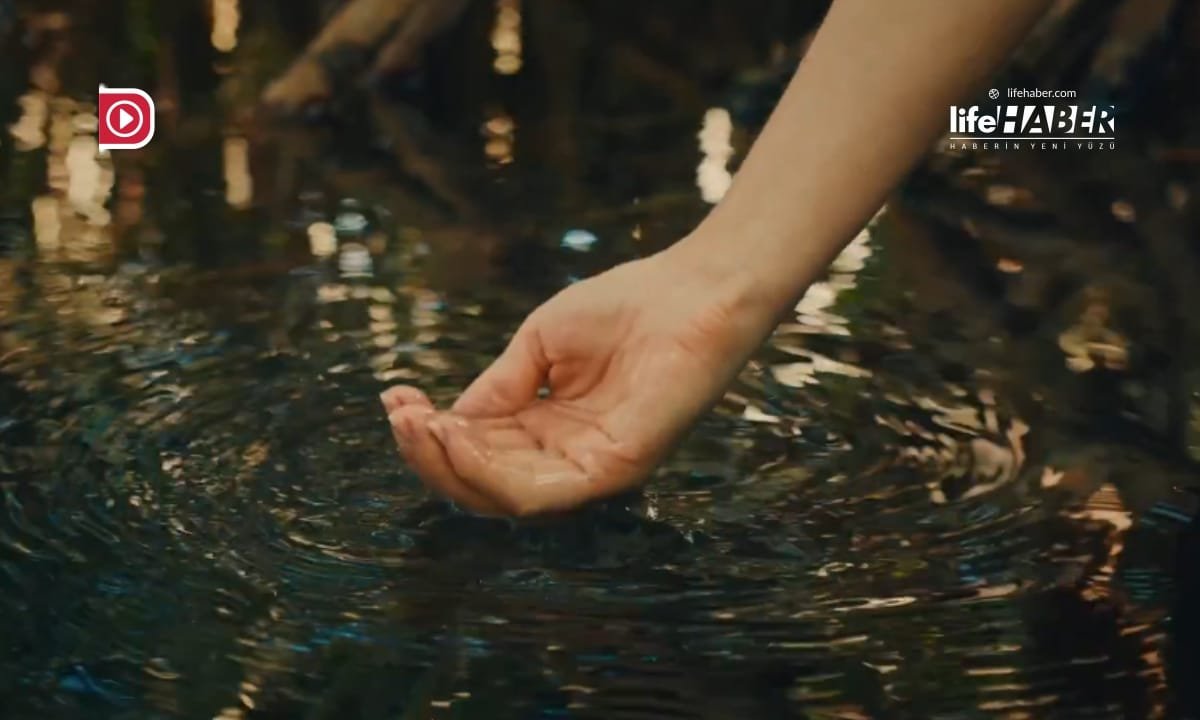 Türkiye’den Küresel Tarım Zirvesi: 28 Kasım’da Dünya Bakanları İstanbul’da