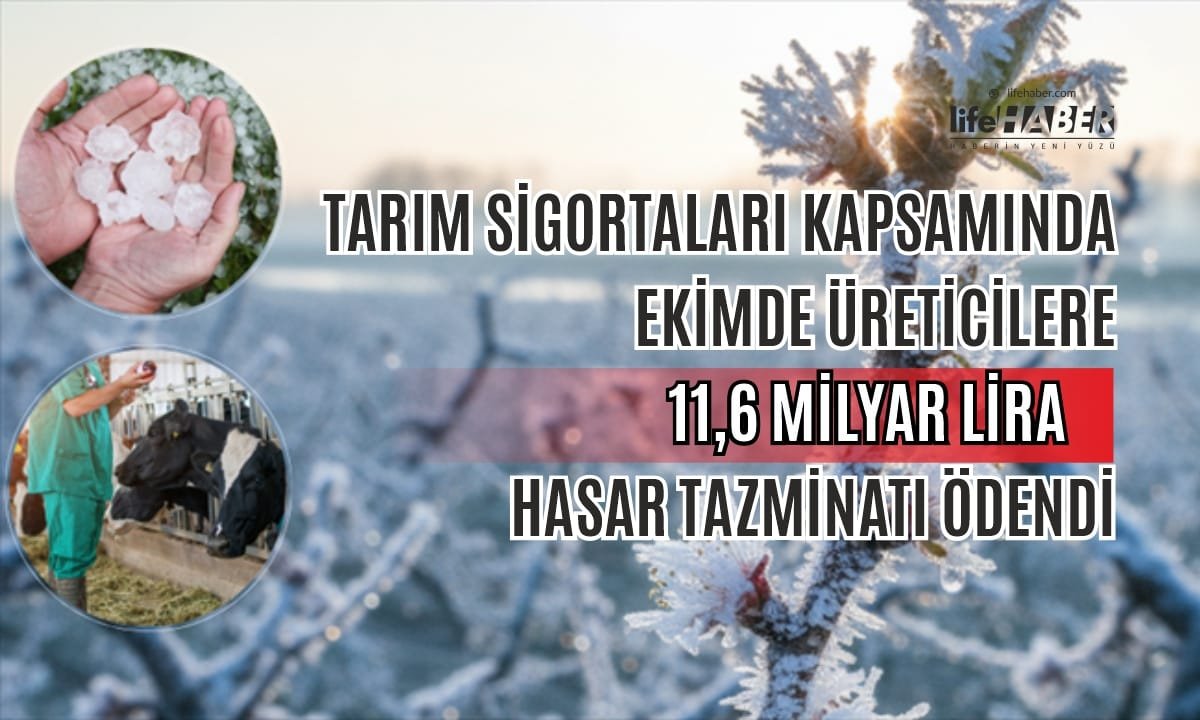 TARSİM’den Üreticiye Tek Kalemde Dev Destek