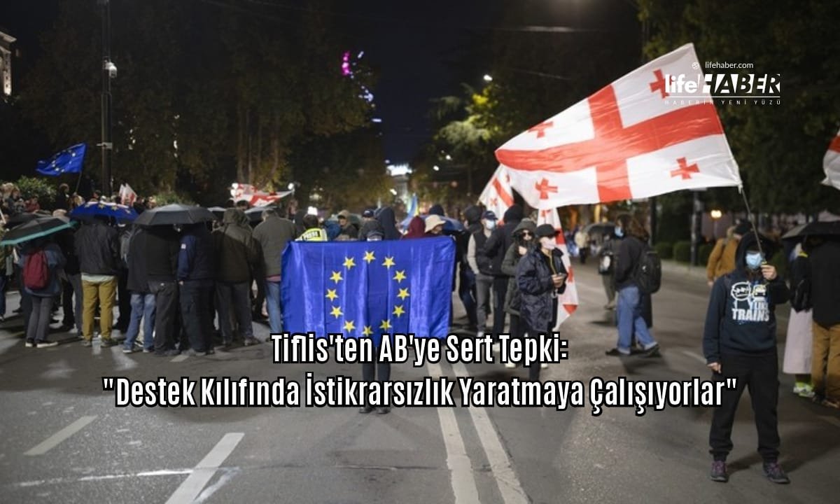 Kaladze: AB Yetkilileri Sokak Şiddetini Kışkırtıp Anayasamızı İhlal Ediyor