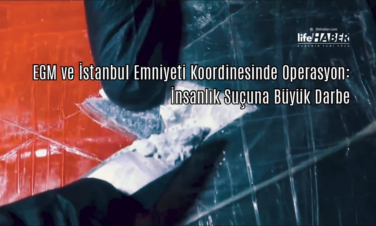 İstanbul’da Narkotik Operasyonu: 494 kg Uyuşturucu Ele Geçirildi