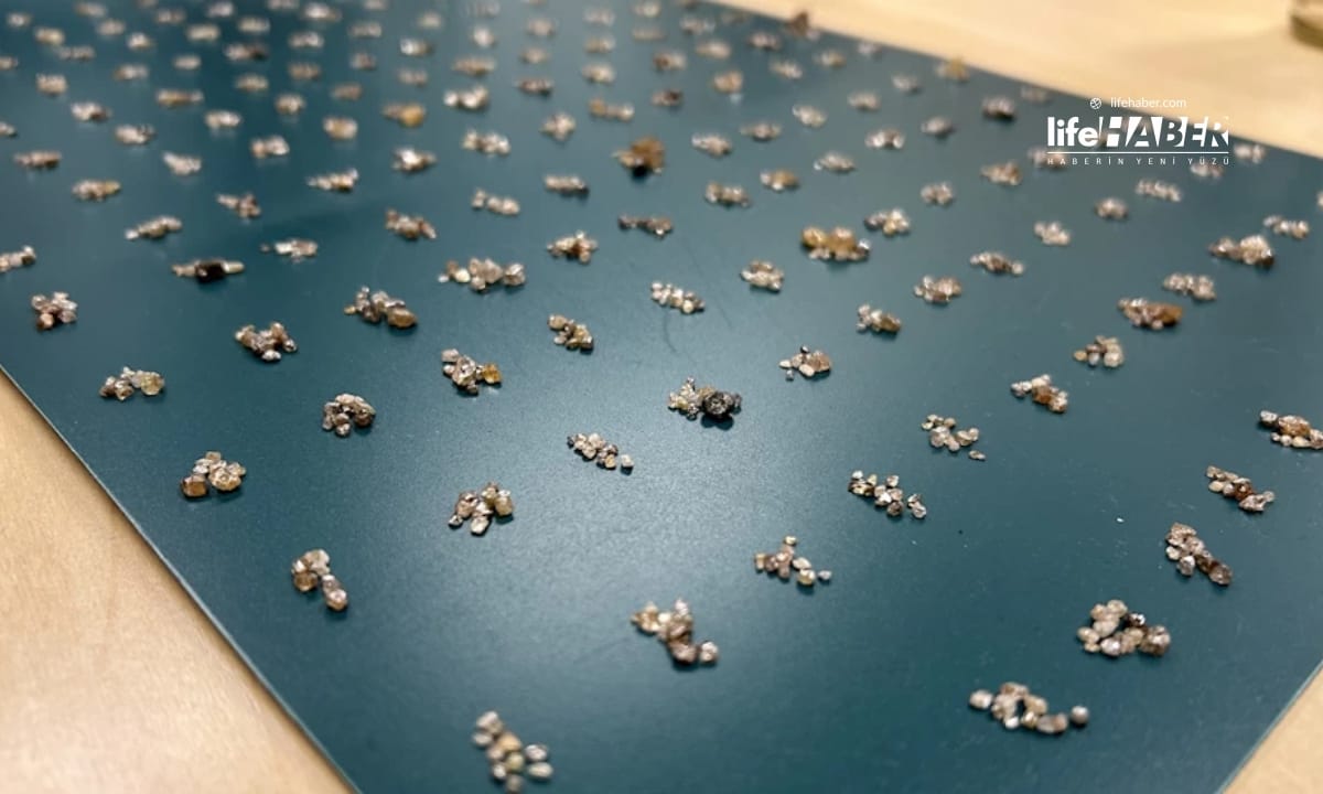 elmas Life Haber Ajansı