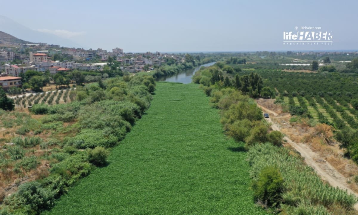 istila 3 Life Haber Ajansı