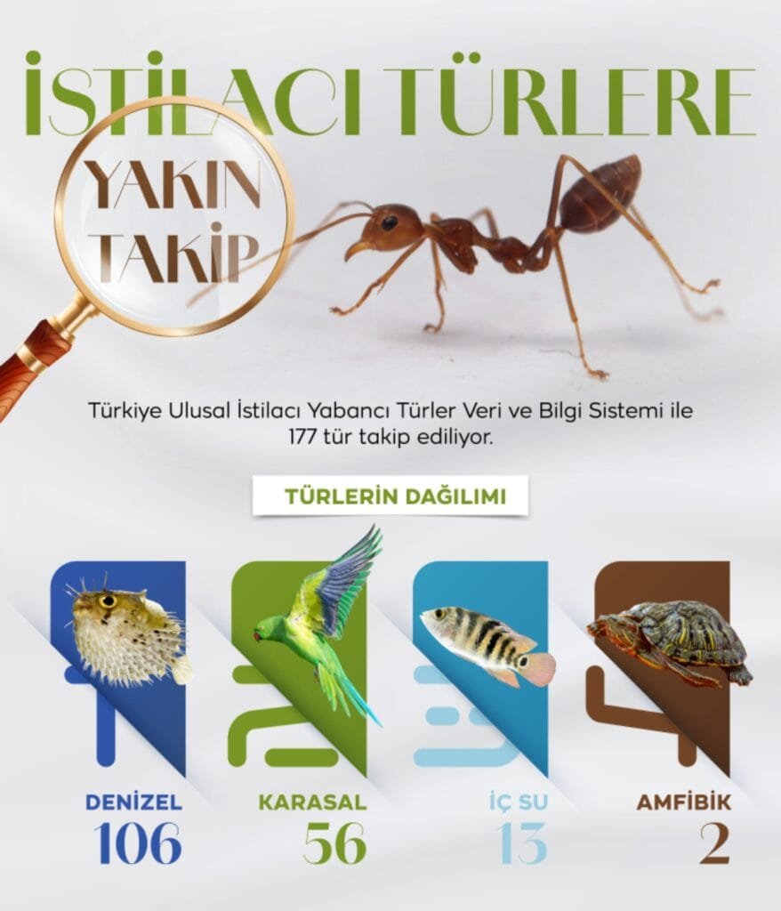 istila b Life Haber Ajansı