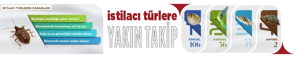 %97 Gen Kaybı Teorisi: Türkiye’de 177 İstilacı Tür Görüldü