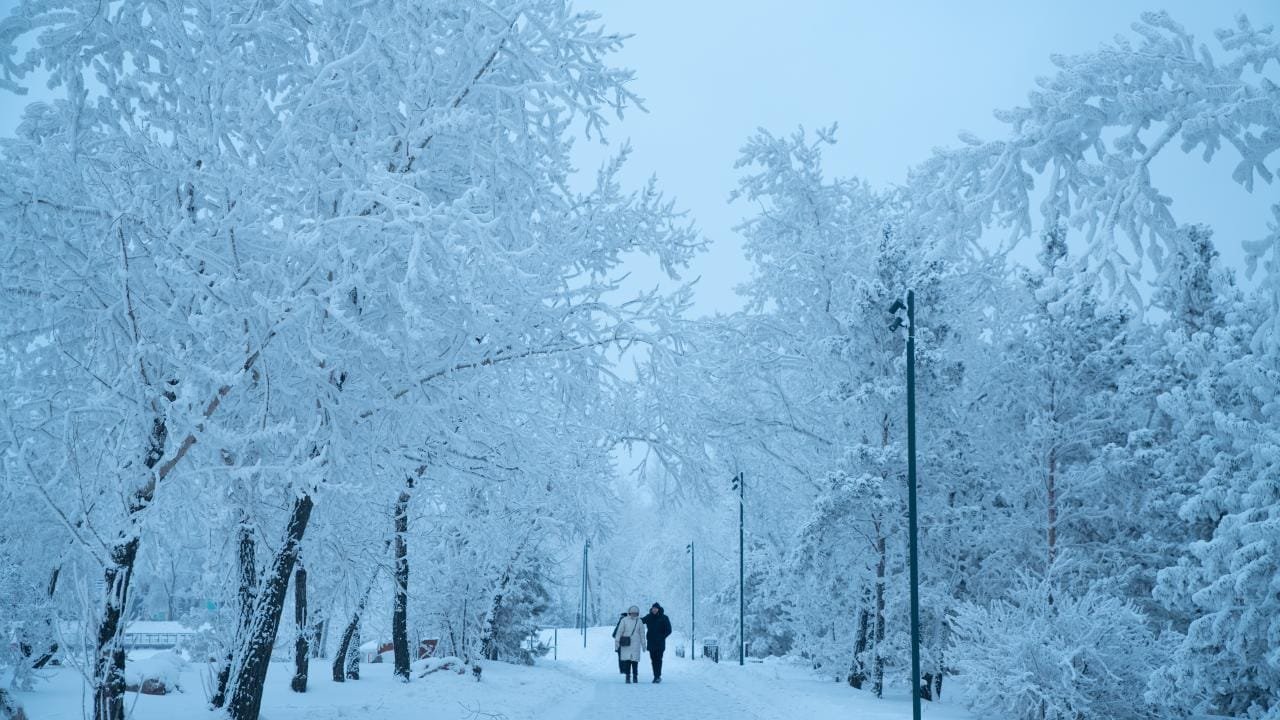 10 Life Haber Ajansı