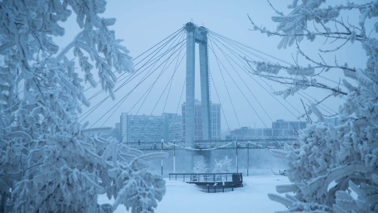 11 Life Haber Ajansı