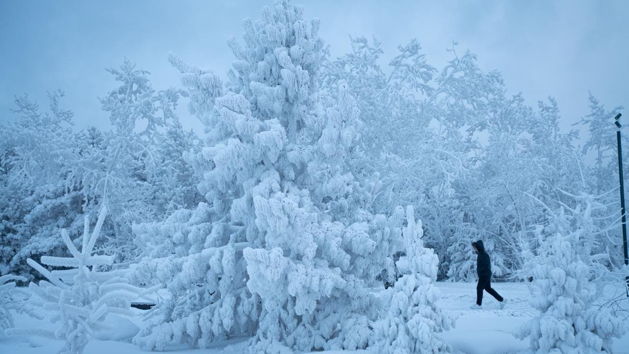 12 Life Haber Ajansı