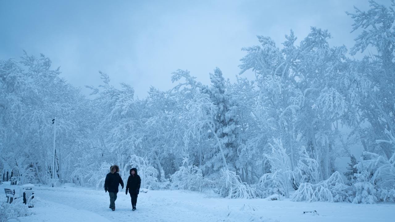 13 Life Haber Ajansı