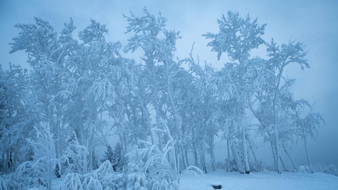 14 Life Haber Ajansı