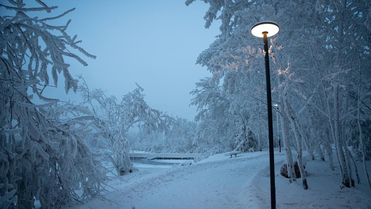 17 Life Haber Ajansı