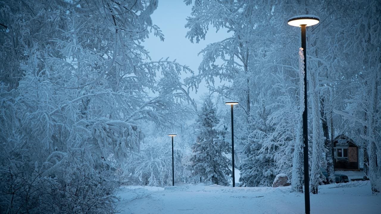 19 Life Haber Ajansı