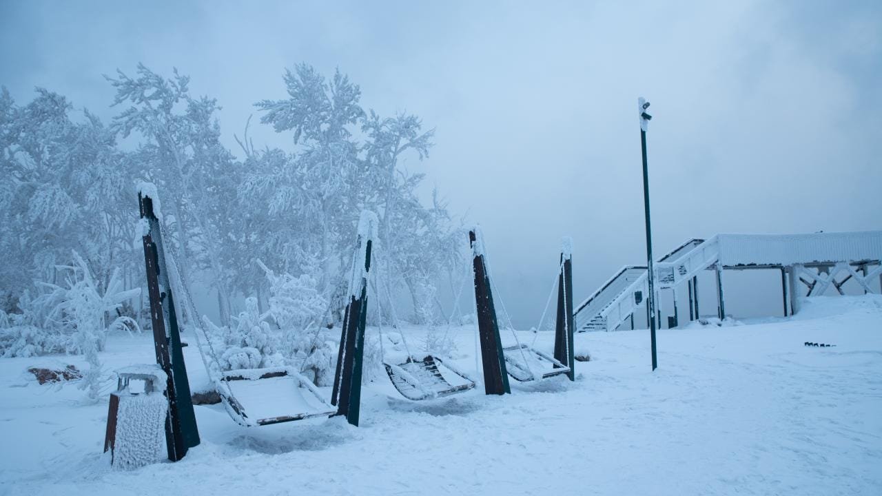 5 Life Haber Ajansı