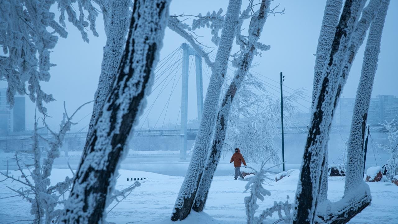 7 Life Haber Ajansı