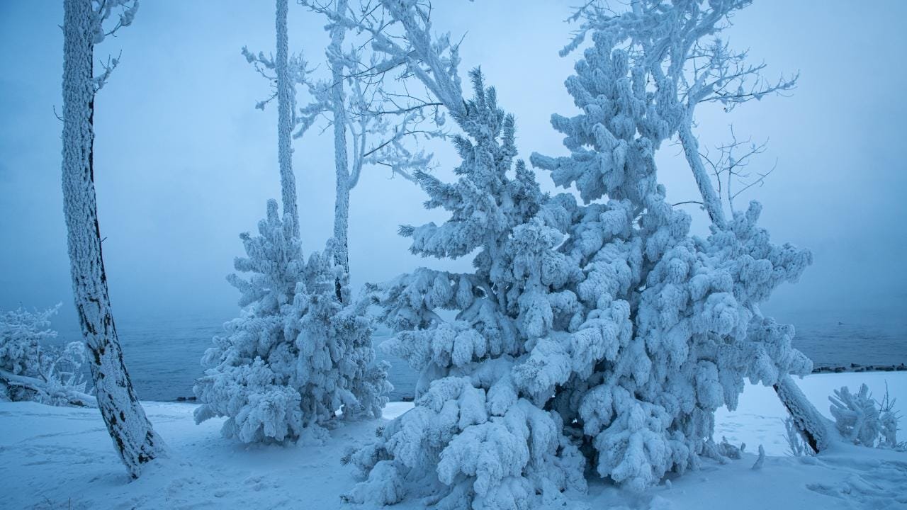 8 Life Haber Ajansı