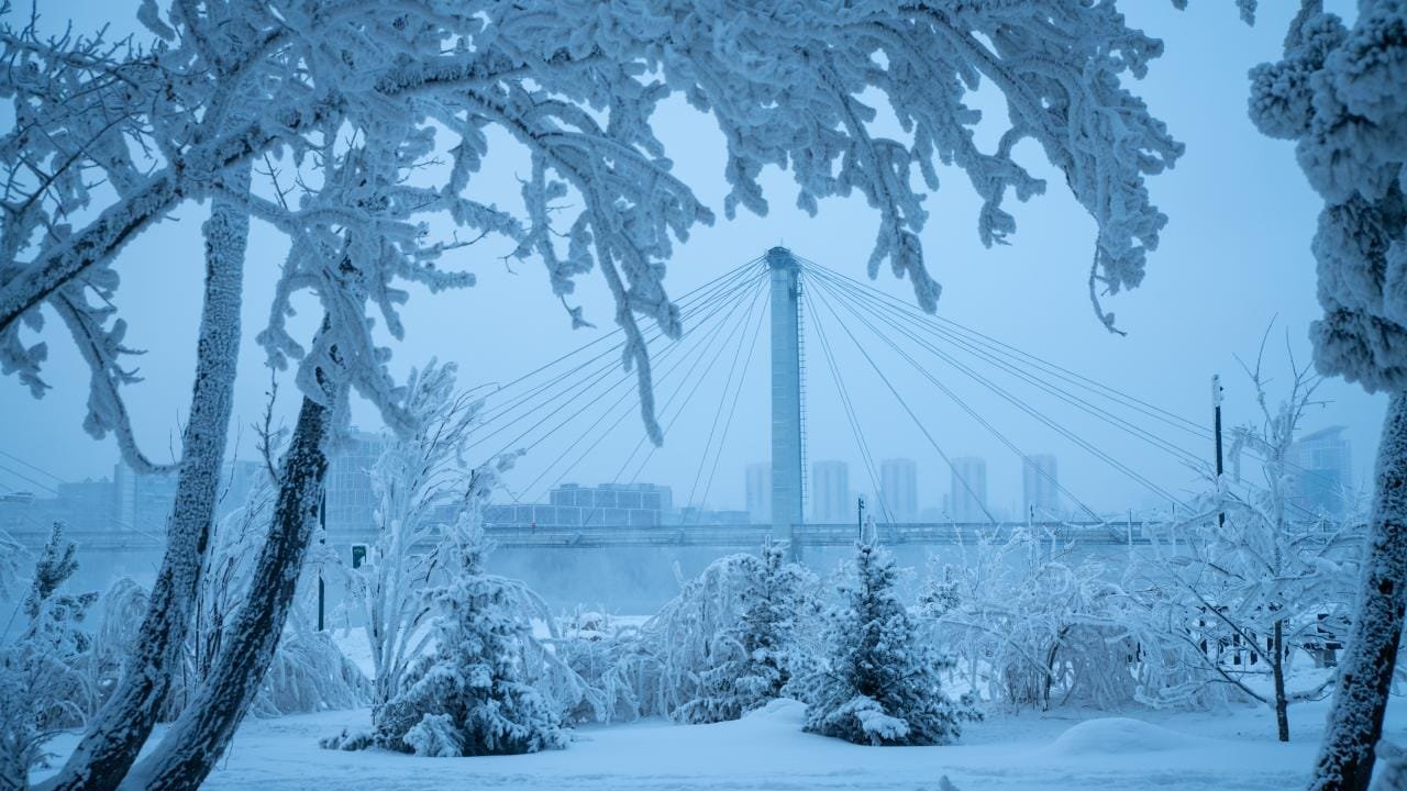 9 Life Haber Ajansı