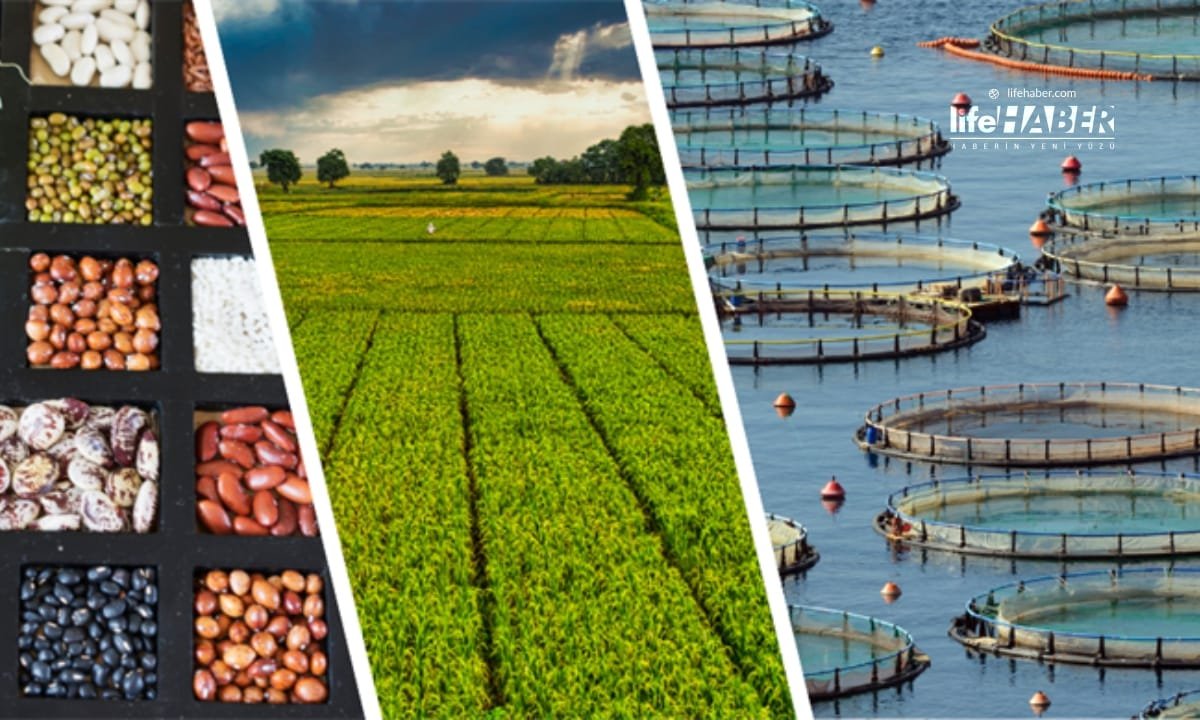 Tarımsal Destekleme Ödemeleri Hesaplara Yatıyor