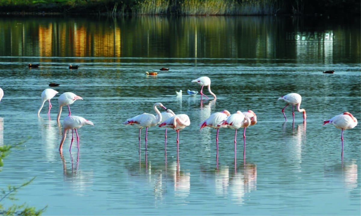 İkinci Cemre Suya Düştü