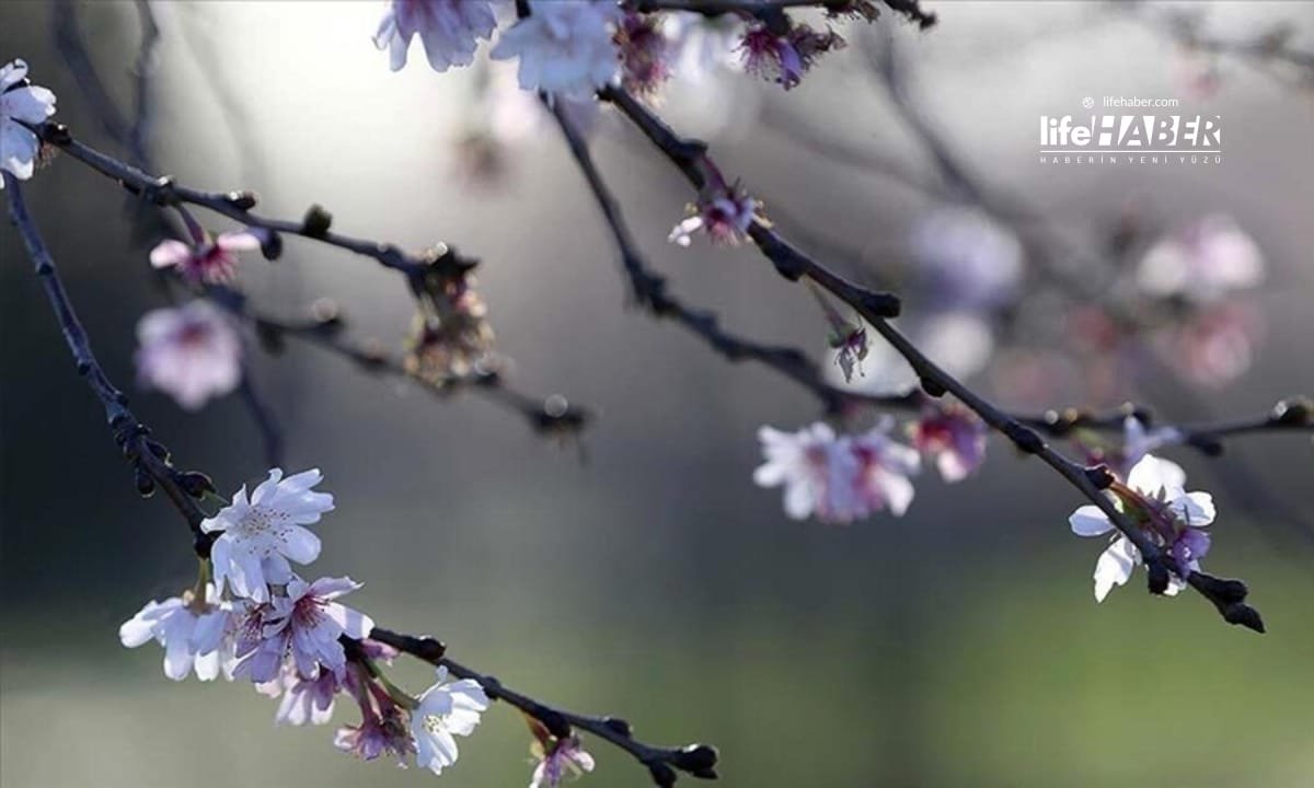 Cemre Düşmesi Baharı Müjdeliyor