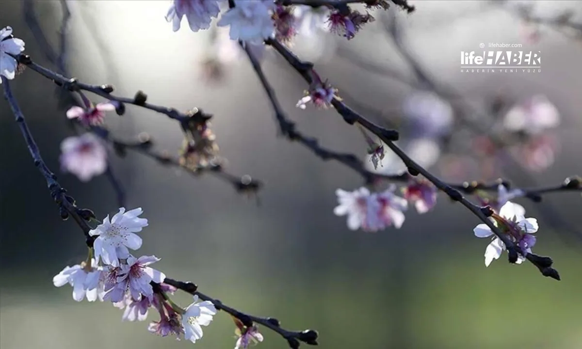 Cemre Düşmesi Baharı Müjdeliyor