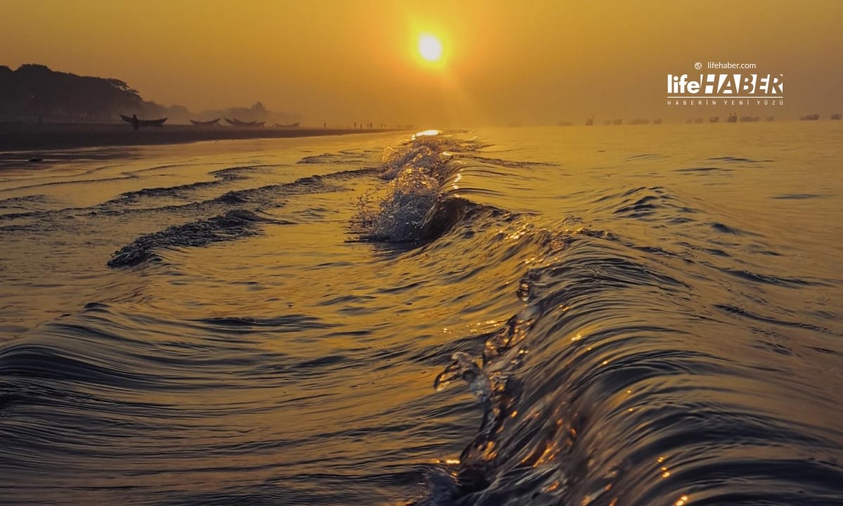 Küresel İklim Krizi Büyüyor