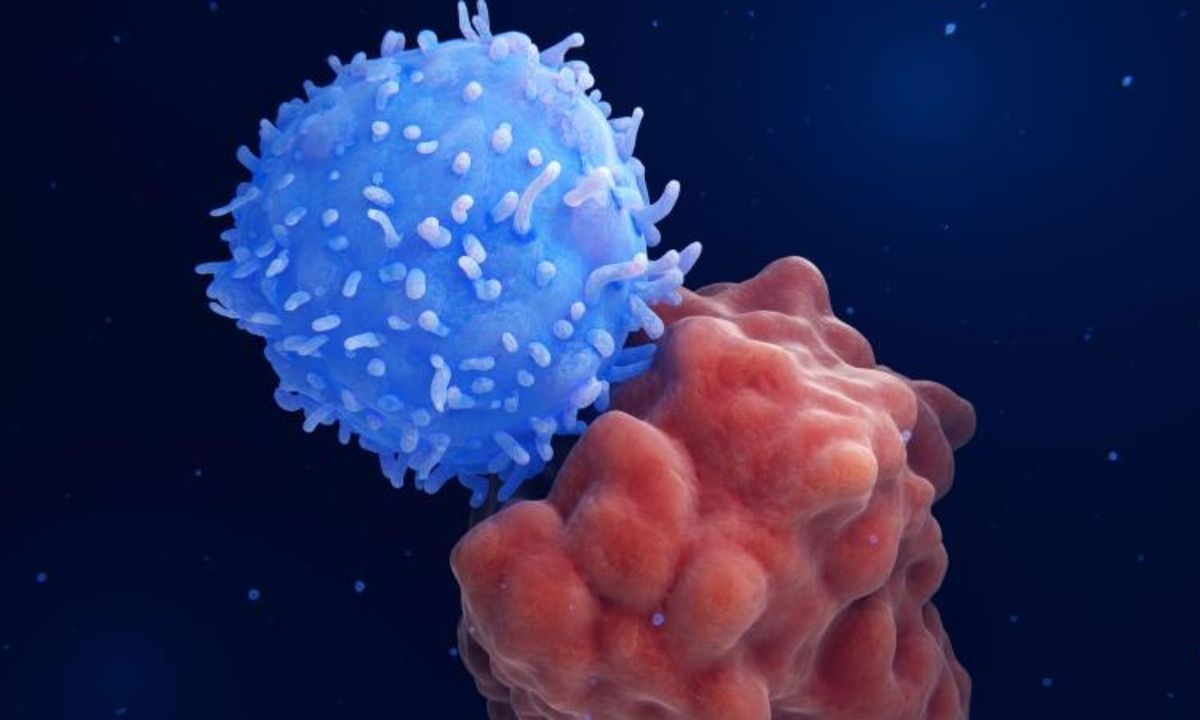 Kansere Karşı Dünyada Bir İlk: Yeni mRNA Aşısı Geliştirildi!
